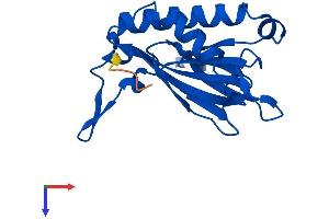 C14orf126 Protein (AA 1-168) (His tag)