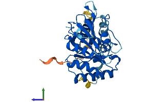 AlphaFold protein structure predicition of Human Recombinant GTPBP8 Protein, UniprotID Q8N3Z3