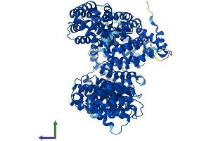 Protein Structure (PS) image for Transportin 3 (TNPO3) (AA 1-923) protein (His tag) (ABIN7564081)