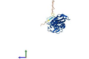 Protein Structure (PS) image for F-Box Protein 6 (FBXO6) (AA 1-293) protein (His tag) (ABIN7553875)