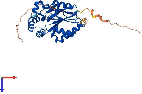 UCK1 Protein (AA 1-277) (His tag)