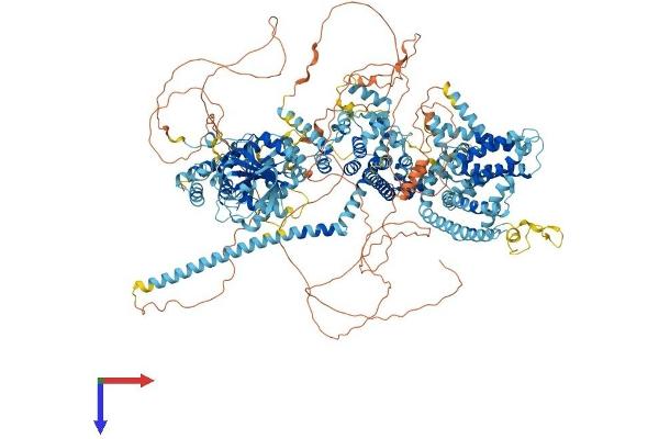 TRPM1 Protein (AA 1-1603) (His tag)