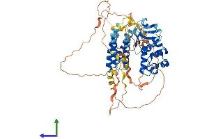 Protein Structure (PS) image for CNKSR Family Member 3 (CNKSR3) (AA 1-555) protein (His tag) (ABIN7546570)