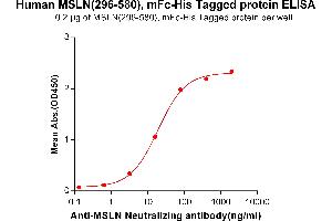 ELISA image for Mesothelin (MSLN) (AA 296-580) protein (mFc-His Tag) (ABIN6961104)