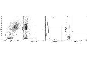 Clone B-ly4 (CD21) was analyzed by flow cytometry using a blood sample obtained from a healthy volunteer. (CD21 Antikörper  (PE))