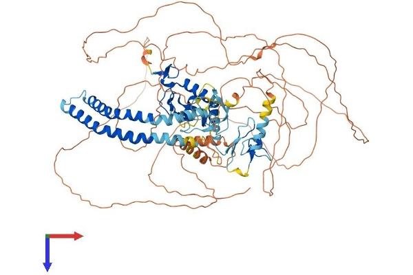 RNF19A Protein (AA 1-838) (His tag)