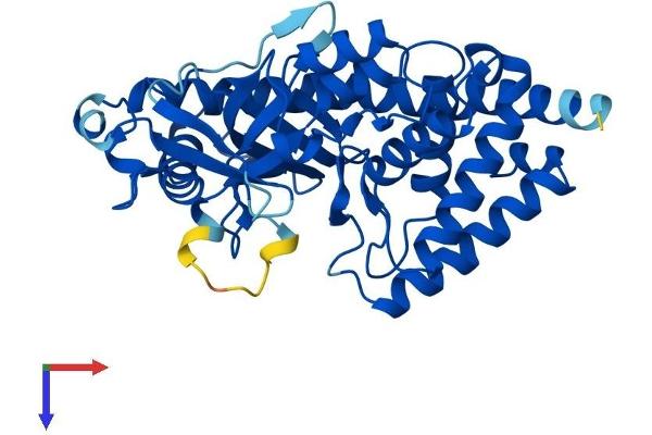 MAB21L1 Protein (AA 1-359) (His tag)
