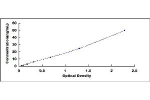 Typical standard curve (Endoglin ELISA Kit)