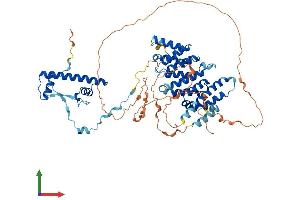 Protein Structure (PS) image for TAF6-Like RNA Polymerase II, P300/CBP-Associated Factor (PCAF)-Associated Factor, 65kDa (TAF6L) (AA 1-616) protein (His tag) (ABIN7559694)