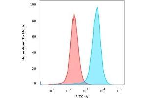 Flow Cytometric Analysis of paraformaldehyde-fixed K562 cells using CD43 Mouse Monoclonal Antibody (SPN/3388) followed by goat anti-Mouse IgG-CF488 (Blue); Isotype Control (Red). (CD43 Antikörper)