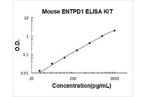 Ectonucleoside Triphosphate diphosphohydrolase 1 (ENTPD1) ELISA Kit