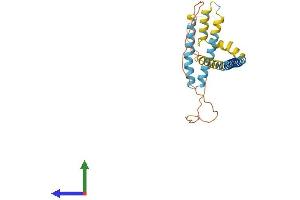 Protein Structure (PS) image for Receptor Accessory Protein 2 (REEP2) (AA 1-254) protein (His tag) (ABIN7559813)