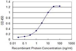 Detection limit for recombinant GST tagged SH3RF1 is 0. (SH3RF1 Antikörper  (AA 790-888))