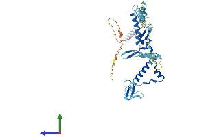 Protein Structure (PS) image for RRS1 Ribosome Biogenesis Regulator (RRS1) (AA 1-365) protein (His tag) (ABIN7560754)