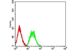 Flow cytometric analysis of HL-60 cells using PTPRD mouse mAb (green) and negative control (red). (PTPRD Antikörper  (AA 1077-1265))