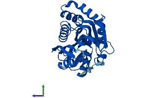 Protein Structure (PS) image for Indolethylamine N-Methyltransferase (INMT) (AA 1-264) protein (His tag) (ABIN7563218)