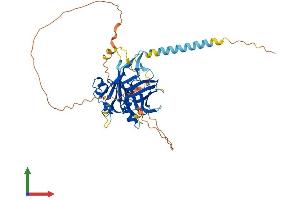 Protein Structure (PS) image for Tubby Like Protein 3 (TULP3) (AA 1-442) protein (His tag) (ABIN7544822)