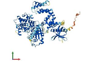 AlphaFold protein structure predicition of Mouse Recombinant Grk3 Protein, UniprotID Q3UYH7