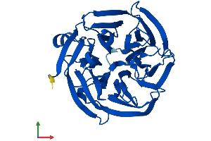 Protein Structure (PS) image for Regucalcin (RGN) (AA 1-299) protein (His tag) (ABIN7557836)