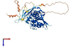 METTL22 Protein (AA 1-404) (His tag)