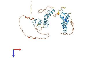 ZNF784 Protein (AA 1-323) (His tag)