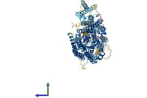 Protein Structure (PS) image for Phosphatidylinositol Glycan Anchor Biosynthesis, Class G (PIGG) (AA 1-983) protein (His tag) (ABIN7555001)