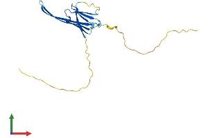 Protein Structure (PS) image for Heat Shock Protein, alpha-Crystallin-Related, B9 (HSPB9) (AA 1-168) protein (His tag) (ABIN7561234)