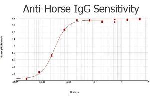 ELISA results of purified Rabbit anti-Horse IgG Antibody Peroxidase Conjugated tested against purified Horse IgG. (Kaninchen anti-Pferd IgG (Whole Molecule) Antikörper (HRP))