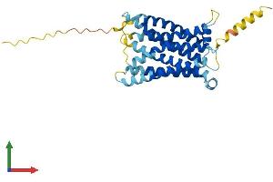 AlphaFold protein structure predicition of Mouse Recombinant Mrgprx1 Protein, UniprotID Q8CIP3