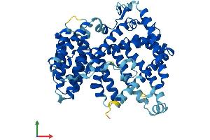Protein Structure (PS) image for Hedgehog Acyltransferase-Like (HHATL) (AA 1-504) protein (His tag) (ABIN7548306)