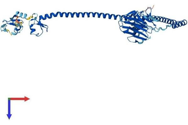 TRIM72 Protein (AA 1-477) (His tag)