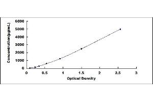 Typical standard curve (BAFF ELISA Kit)