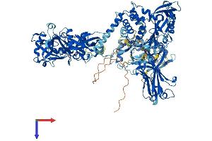 USP7 Protein (AA 1-1102) (His tag)