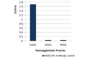 Image no. 1 for anti-Influenza A Virus H1N1 antibody  (AA 18-344) (ABIN1107746) (Influenza A Virus H1N1 Antikörper  (AA 18-344))