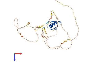 A2BP1 Protein (AA 1-396) (His tag)