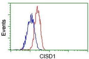 Flow Cytometric analysis of Jurkat cells using CISD1 antibody (Red), compared to a nonspecific negative control antibody (Blue). (CISD1 Antikörper)