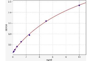 Typical standard curve (DNAJB1 ELISA Kit)