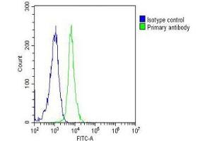 Overlay histogram showing Jurkat cells stained with (ABIN387785 and ABIN2838022)(green line). (SUMO1 Antikörper)
