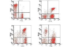 Flow Cytometry (FACS) image for anti-CD3,CD4,CD8,HLA-DR antibody (FITC,PE,PE-Cy5,APC) (ABIN2144744) (CD3,CD4,CD8,HLA-DR Antikörper (FITC,PE,PE-Cy5,APC))