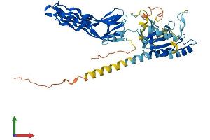 Protein Structure (PS) image for GTP-Binding Protein 10 (GTPBP10) (AA 1-387) protein (His tag) (ABIN7548169)
