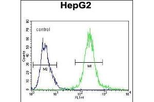 Flow Cytometry (FACS) image for anti-Septin 9 (SEPT9) (AA 57-85), (C-Term) antibody (ABIN390155)