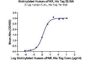ELISA image for Plasminogen Activator, Urokinase Receptor (PLAUR) (AA 23-305) protein (His-Avi Tag,Biotin) (ABIN7275408)