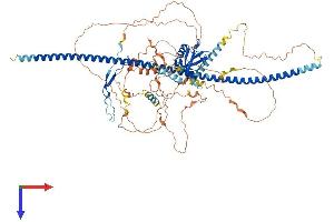 PPP1R9B Protein (AA 1-817) (His tag)
