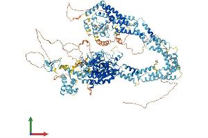 Protein Structure (PS) image for Lysine (K)-Specific Demethylase 5D (KDM5D) (AA 1-1539) protein (His tag) (ABIN7554272)