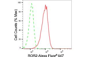 Flow cytometric analysis of ROR2 expression in HeLa cells using ROR2 antibody (ABIN7800155), 1:2,000). (Rekombinanter ROR2 Antikörper)