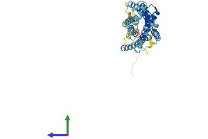 AlphaFold protein structure predicition of Human Recombinant CXCR2 Protein, UniprotID P25025