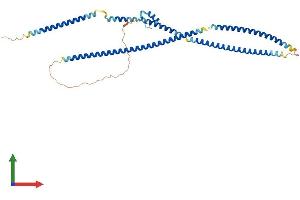 Protein Structure (PS) image for TNFAIP3 Interacting Protein 2 (TNIP2) (AA 1-429) protein (His tag) (ABIN7555771)