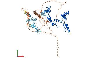 AlphaFold protein structure predicition of Human Recombinant ZSCAN30 Protein, UniprotID Q86W11