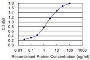 Detection limit for recombinant GST tagged ALAS1 is 0. (ALAS1 Antikörper  (AA 1-98))