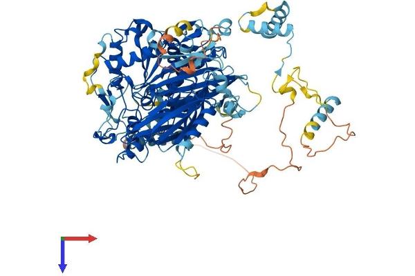 FIG4 Protein (AA 1-907) (His tag)